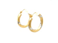 14k Two Tone Gold Polished Hoop Earrings (20 mm)